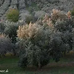Rosa Ουμάγκ