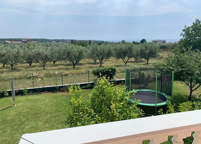 Apartment Rosa