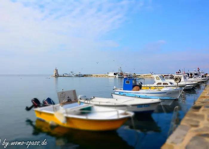 Rosa 아파트 우마그