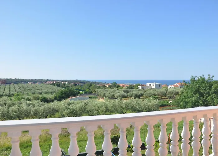 Rosa * Umag