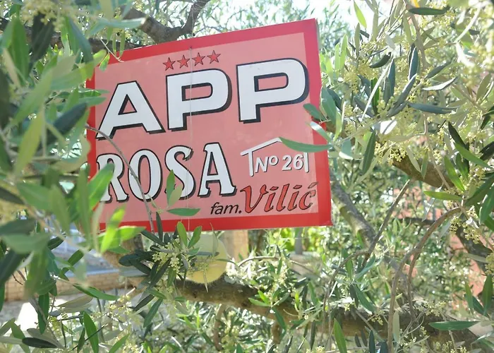 Rosa * Umag