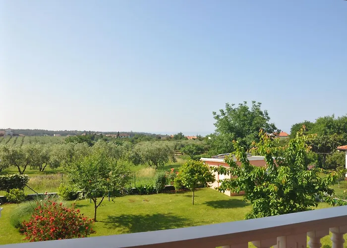 Apartment Rosa *