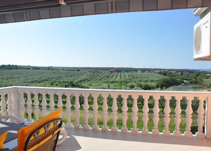 Apartment Rosa