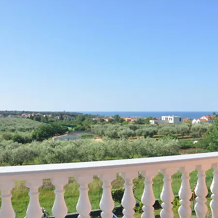 Rosa * Umag