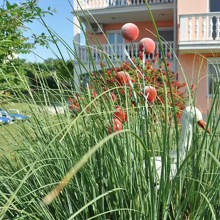 דירה Rosa אומאג