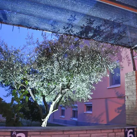 Διαμέρισμα Rosa