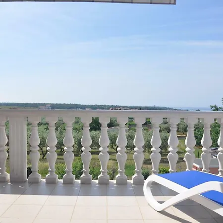 Rosa * Umag