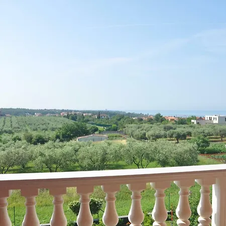Rosa Apartment