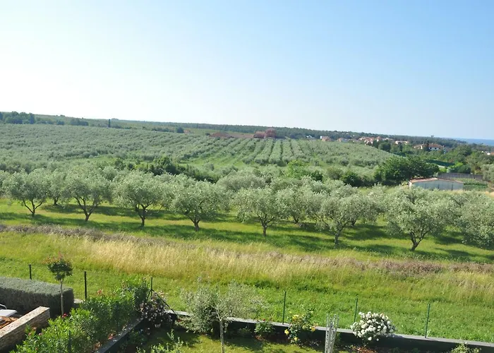 Rosa Διαμέρισμα